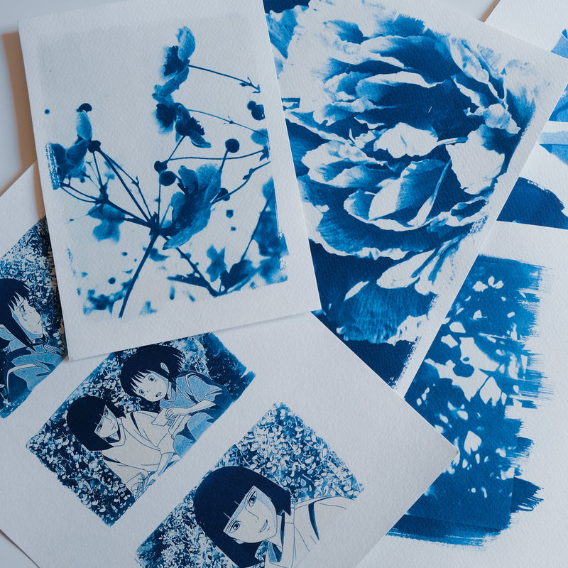 Cyanotypes
