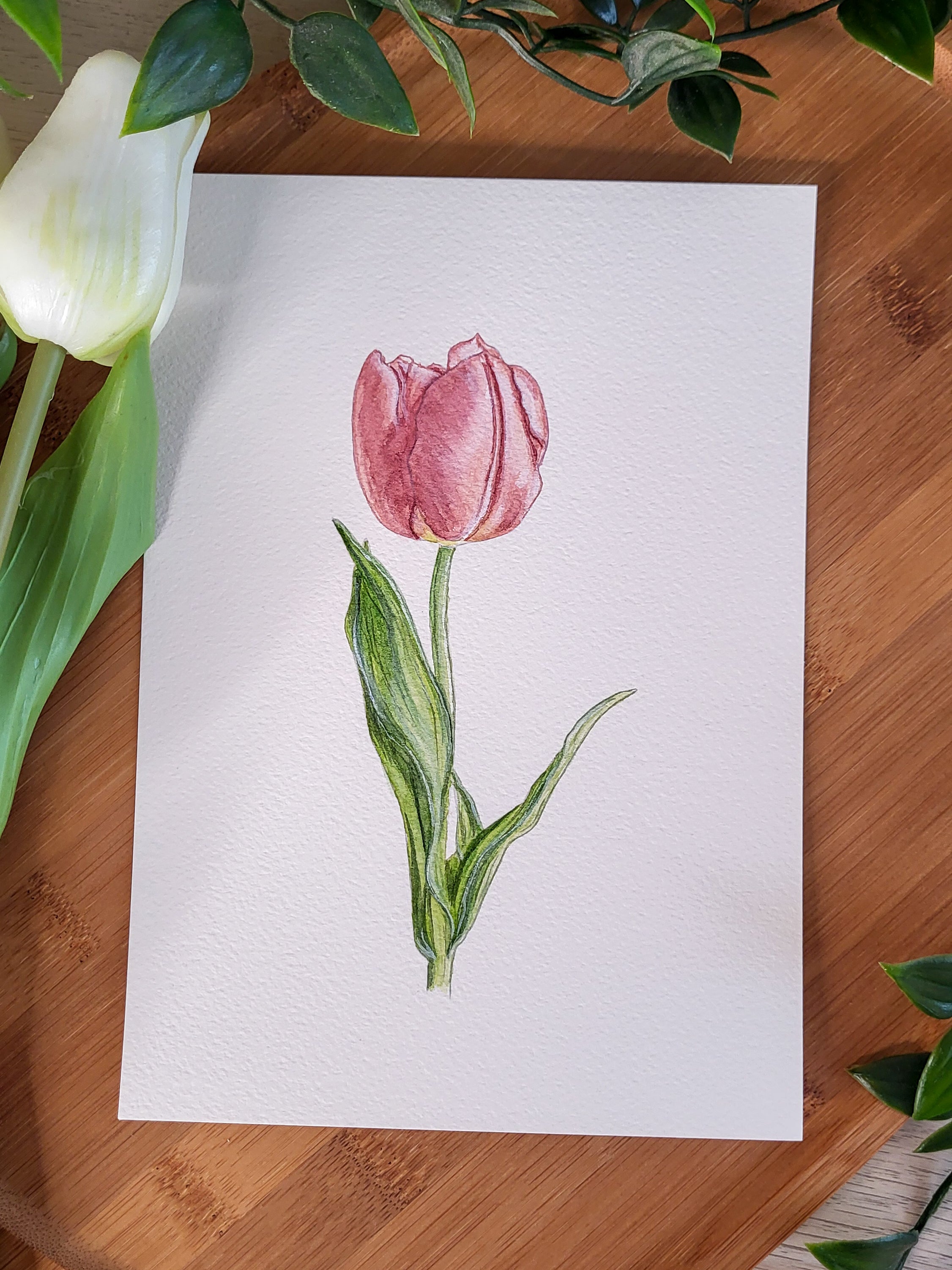 Aquarelle tulipe