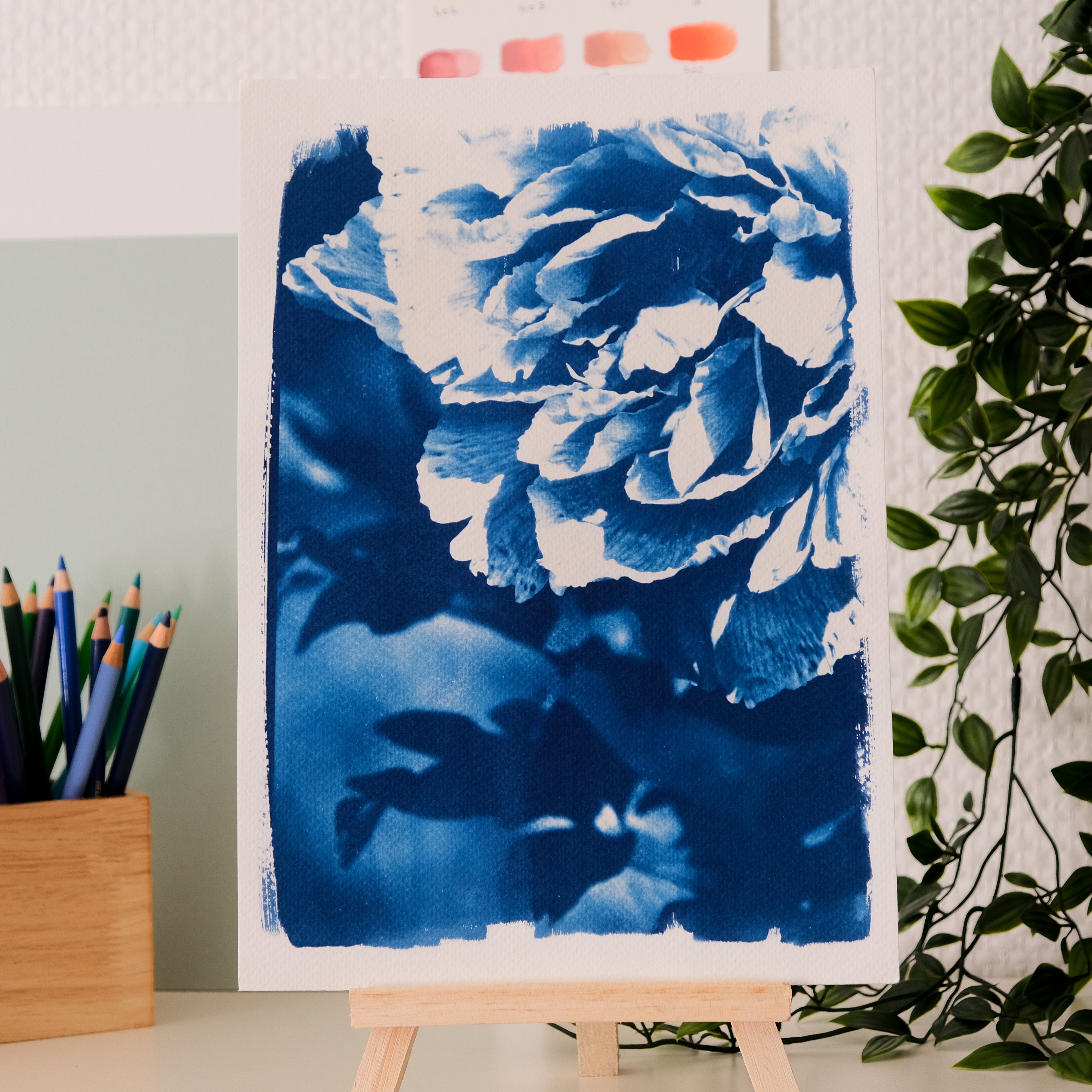 Cyanotype pivoine