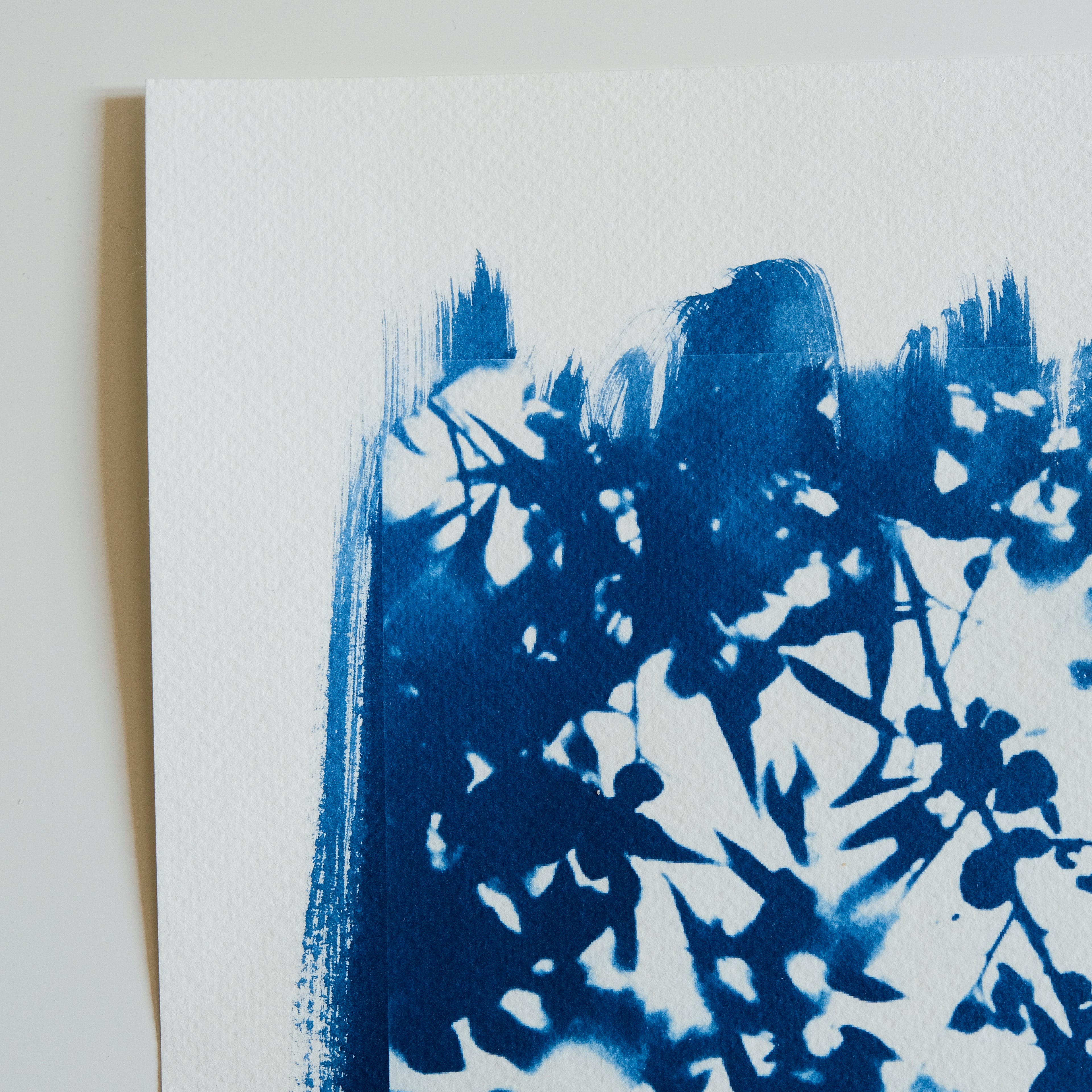 Cyanotype ombre feuillages