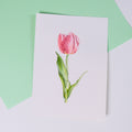 Aquarelle tulipe