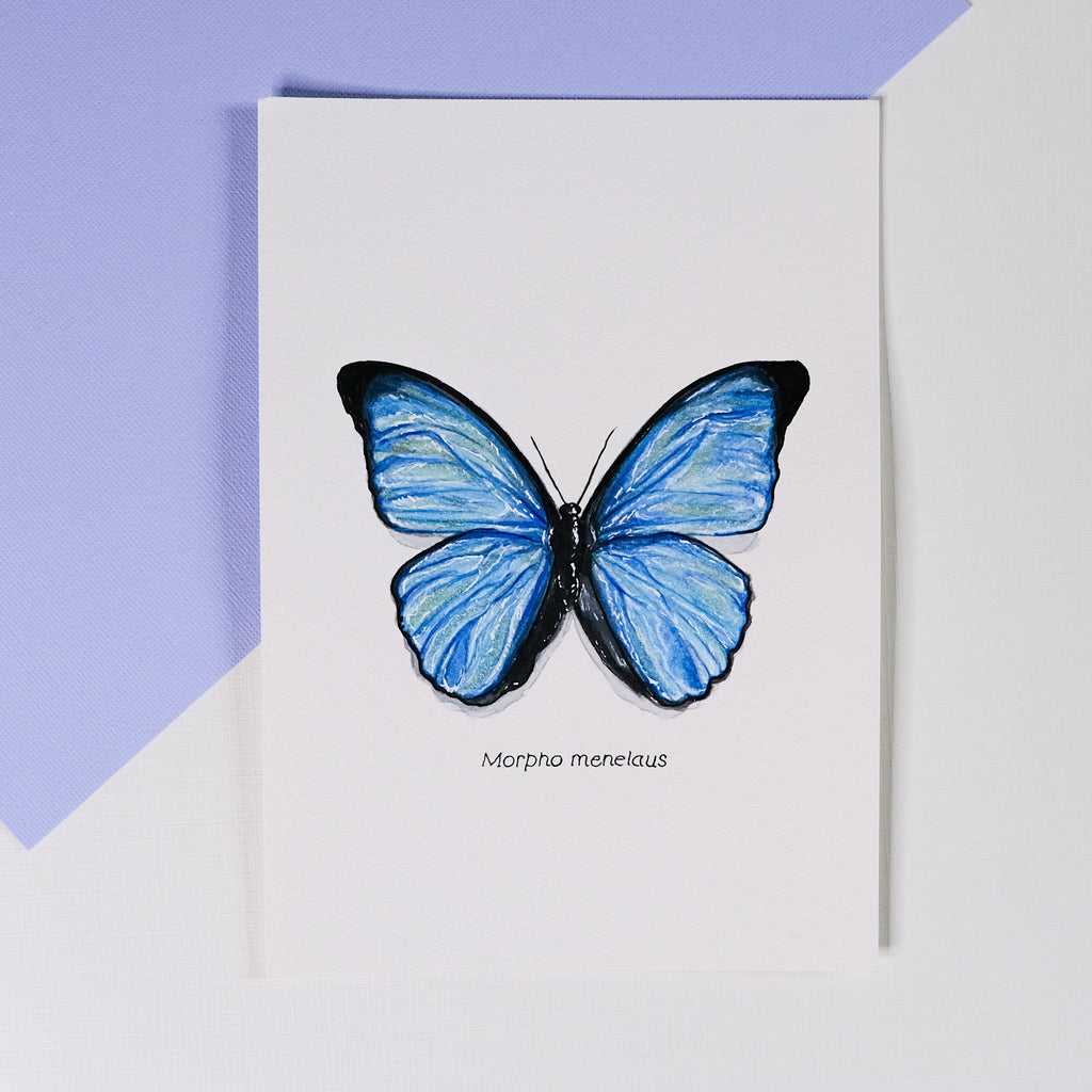 Aquarelle papillon