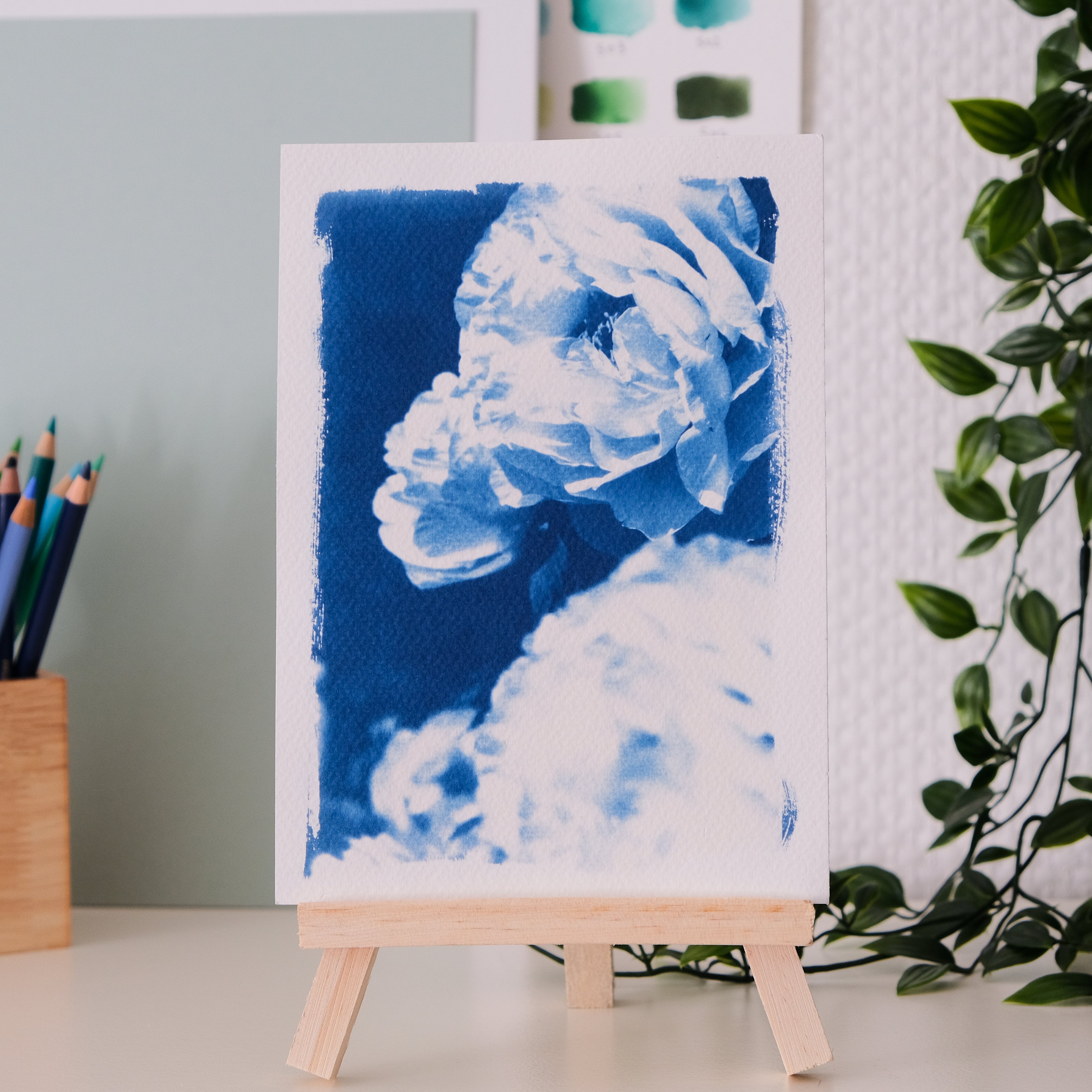 Cyanotype fleurs